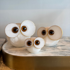 Big Eyed Owls