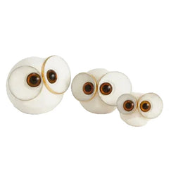 Big Eyed Owls
