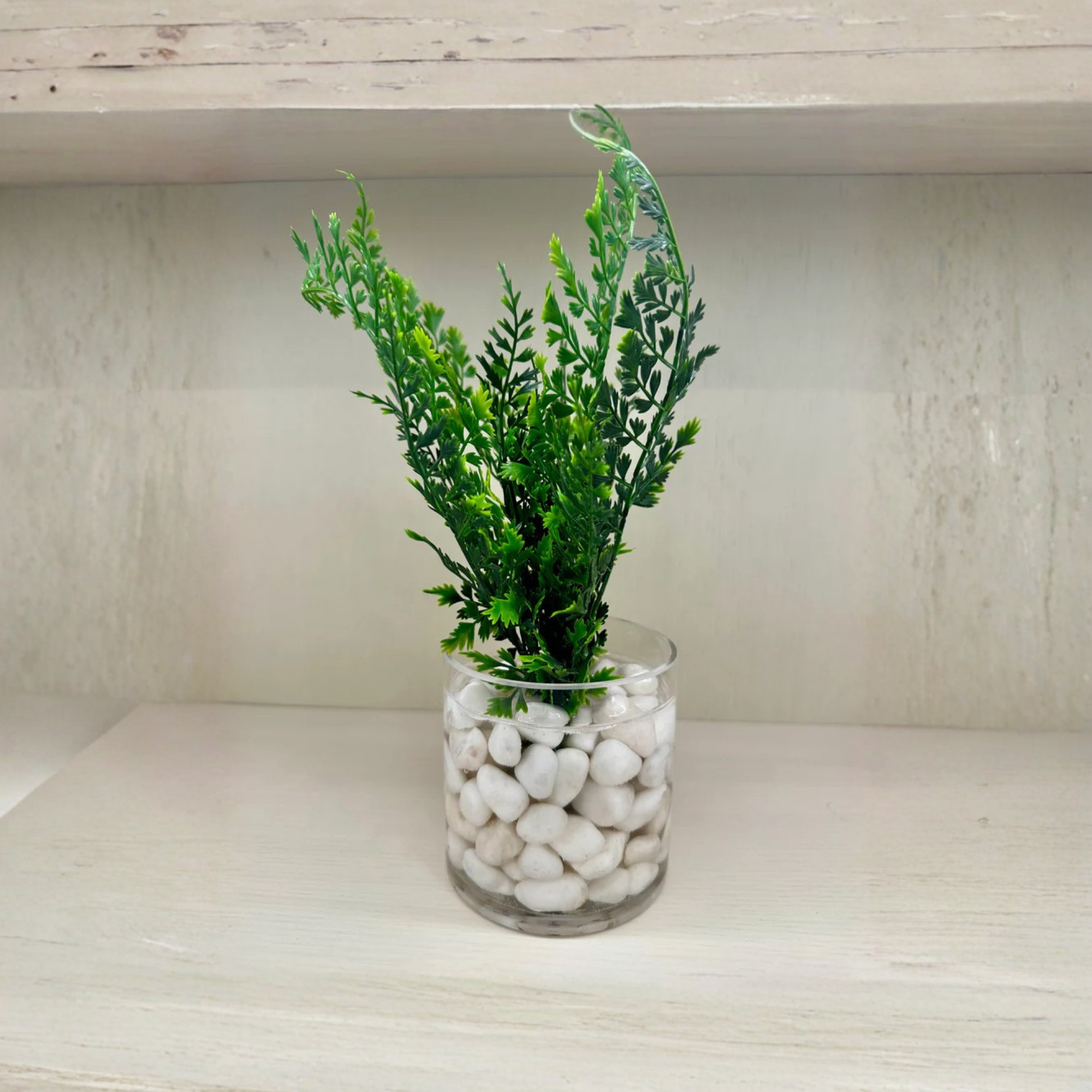 Assorted Ferns in Water