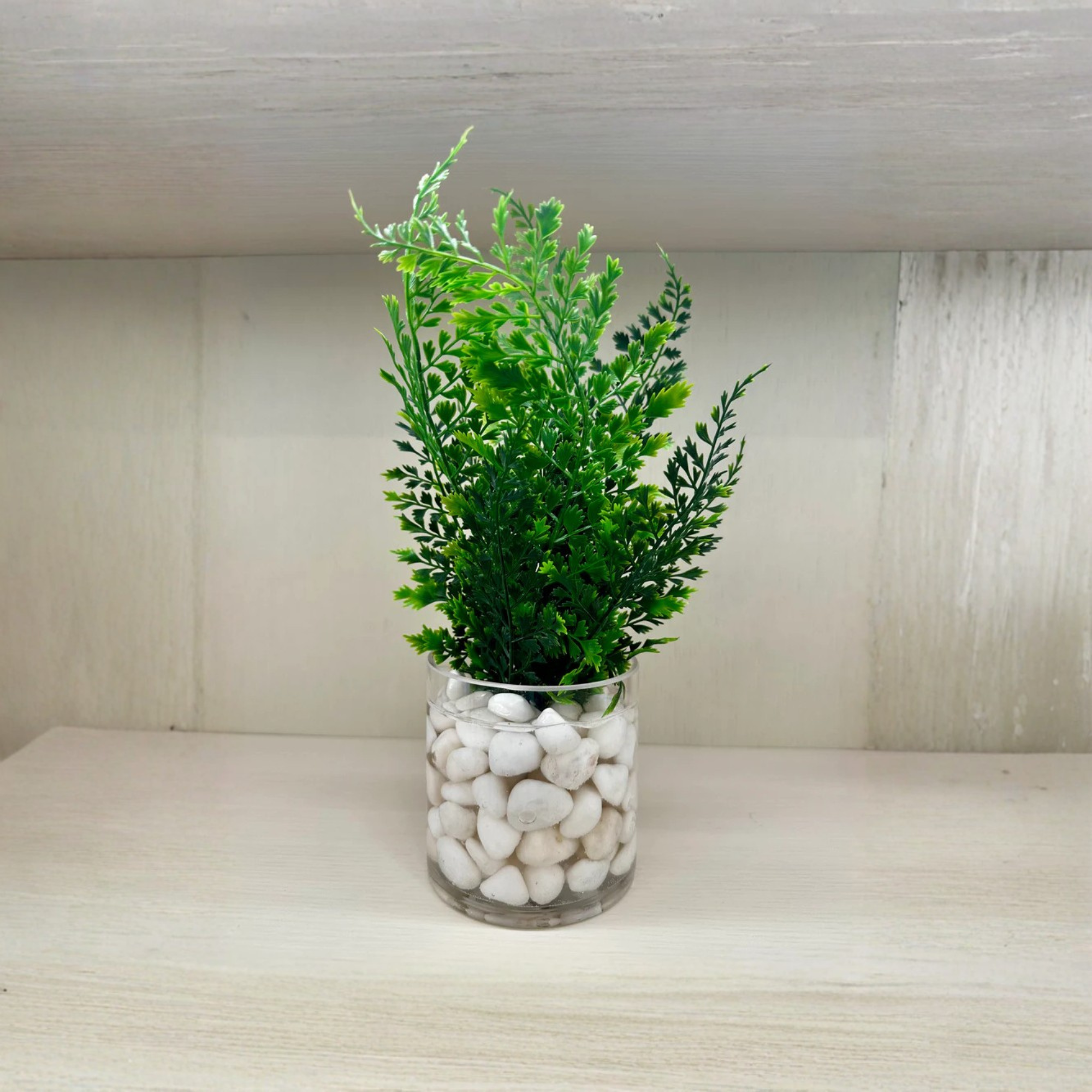 Assorted Ferns in Water
