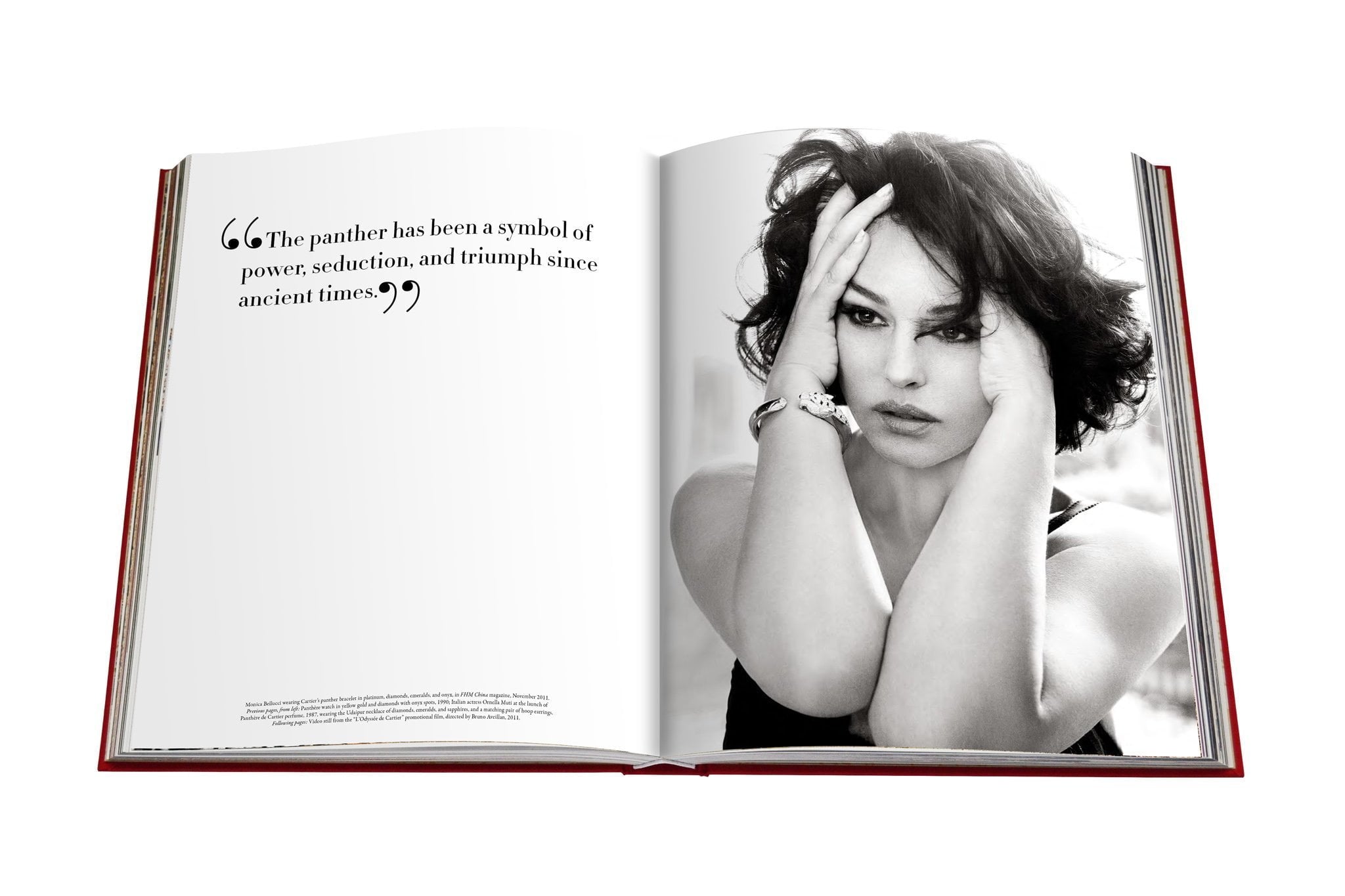 Cartier Panthère Book