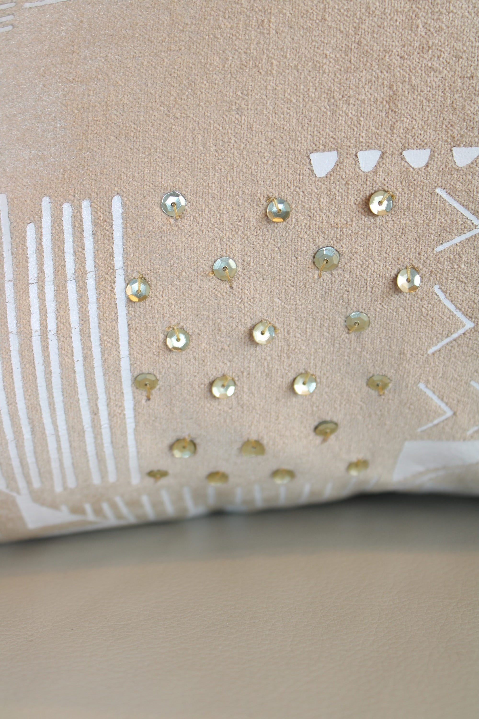 Decorative Velvet Accent Pillow