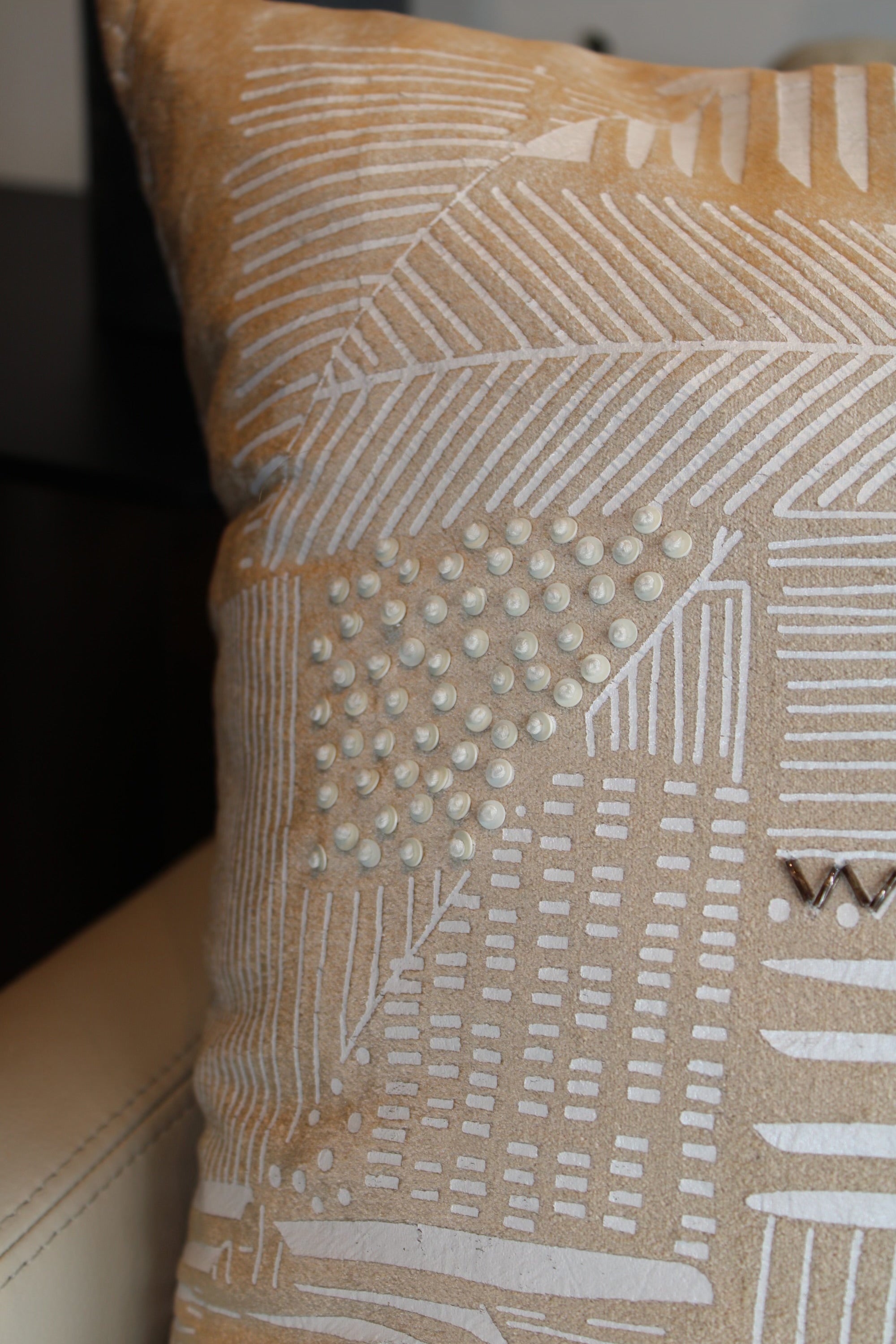 Decorative Velvet Accent Pillow