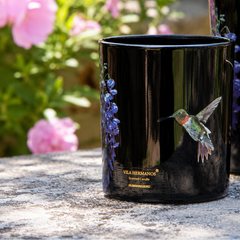 Colibri Hummingbird Candle in Jar