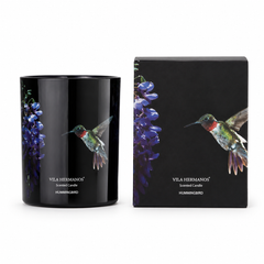 Colibri Hummingbird Candle in Jar