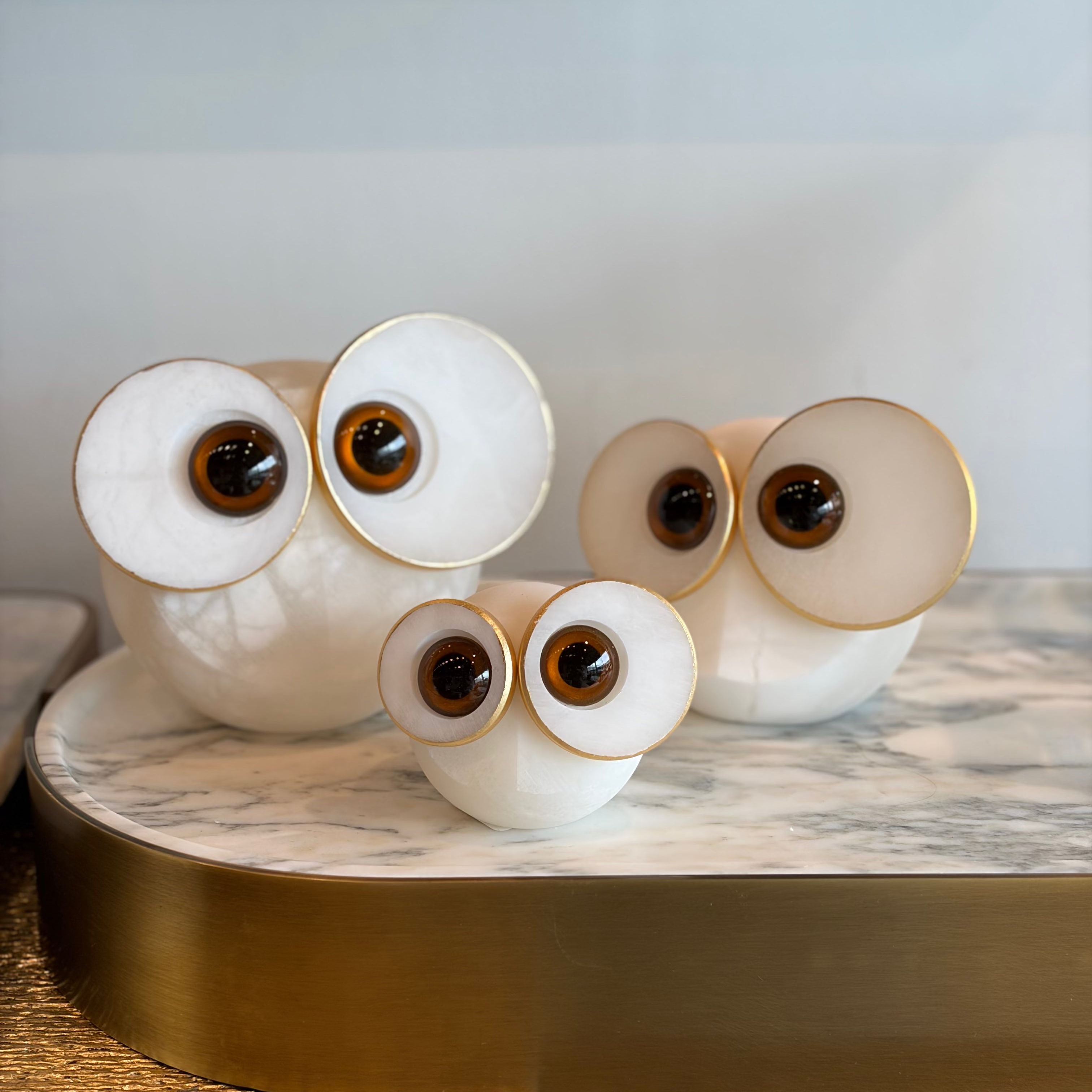 Big Eyed Owls
