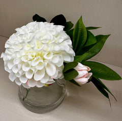 Dahlia in Water