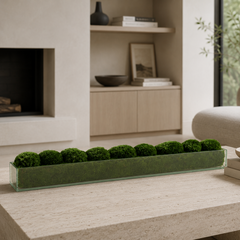 Elongated Moss