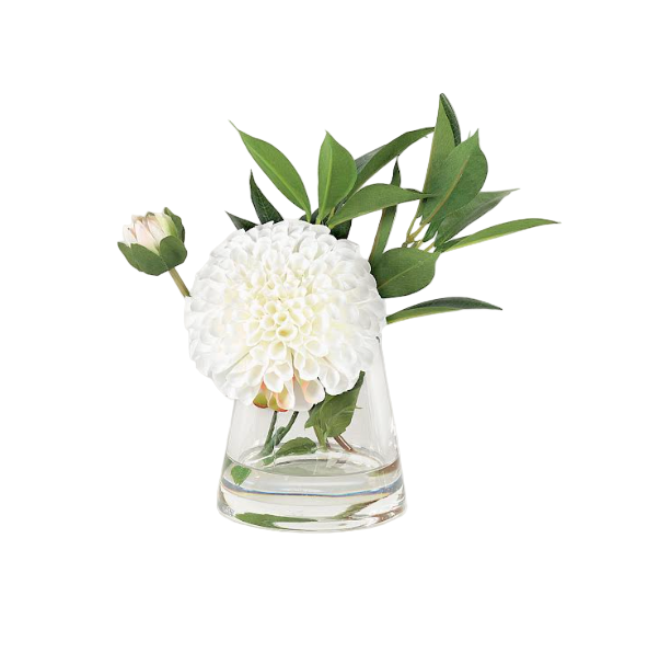 Dahlia in Water