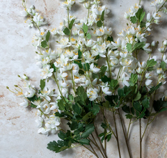 Artificial Campanula Stem - Cream