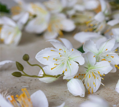 Artificial Campanula Stem - Cream