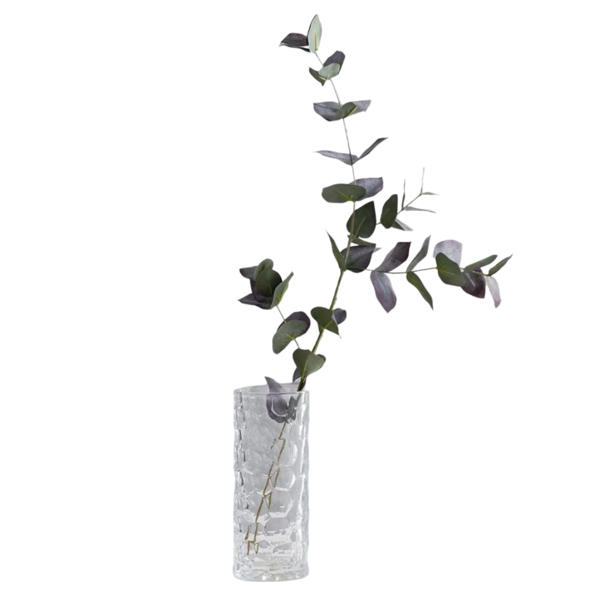 Eucalyptus Stem - Green