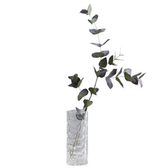Eucalyptus Stem - Green
