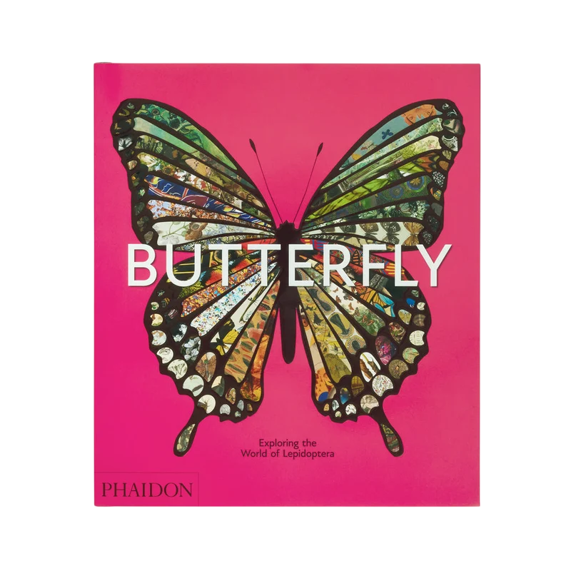 Butterfly: Exploring the World of Lepidoptera