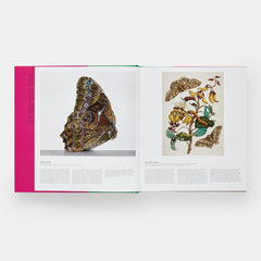 Butterfly: Exploring the World of Lepidoptera