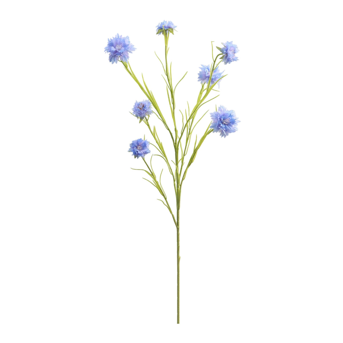 Blue Silk Cornflower
