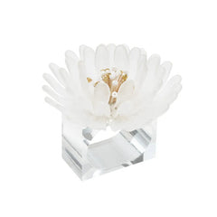 Cosmos Napkin Ring