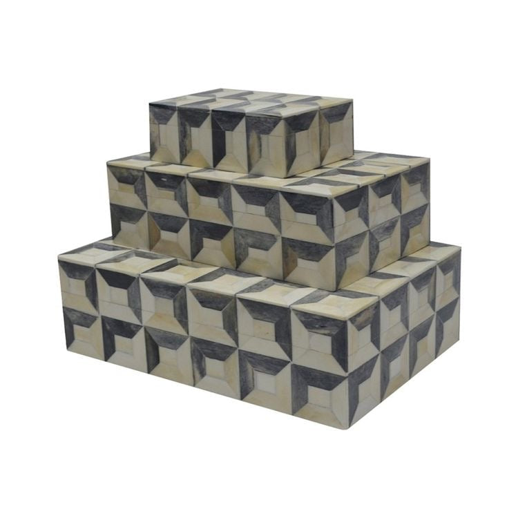 Bone 3D Box