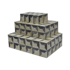 Bone 3D Box