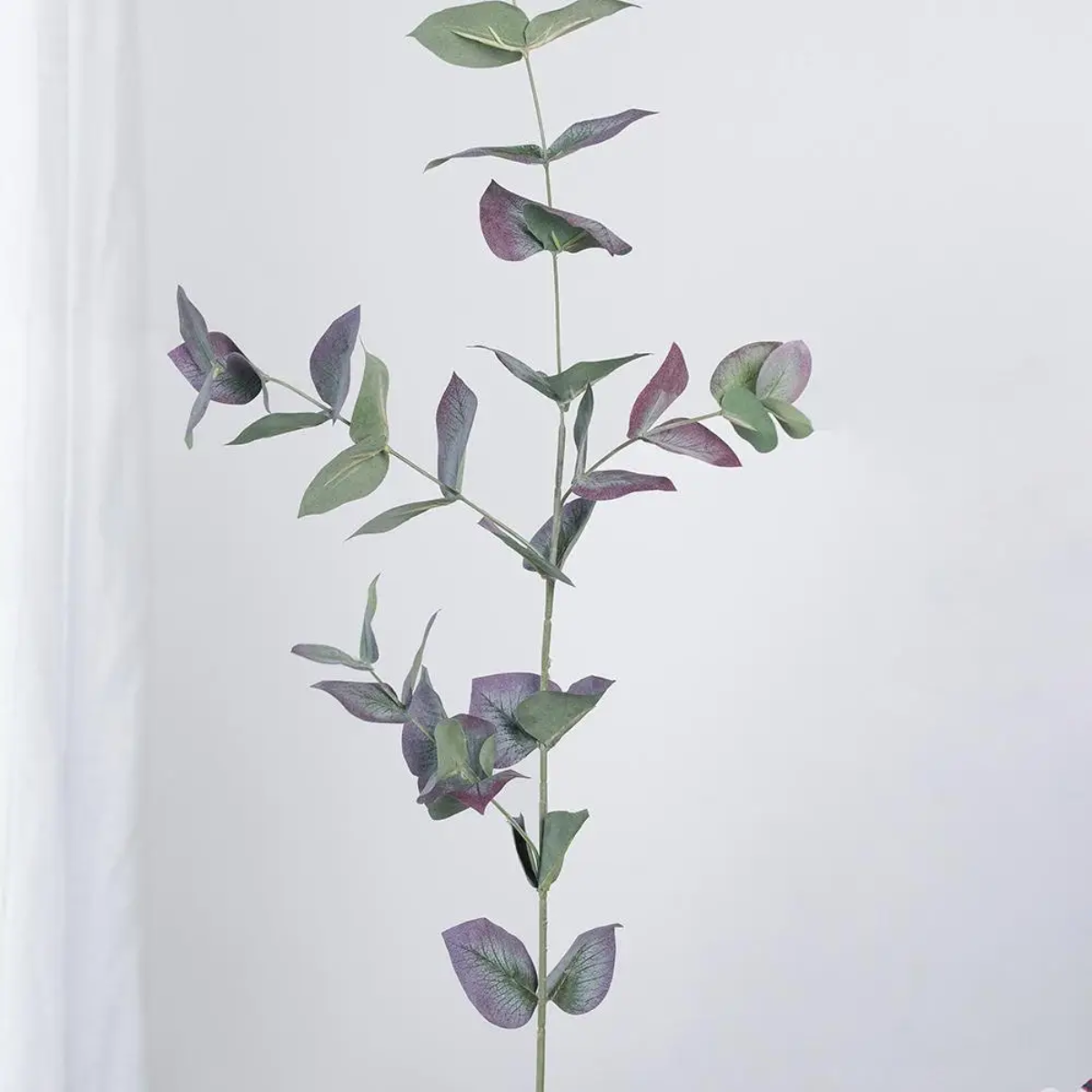 Eucalyptus Stem - Green