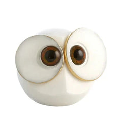 Big Eyed Owls
