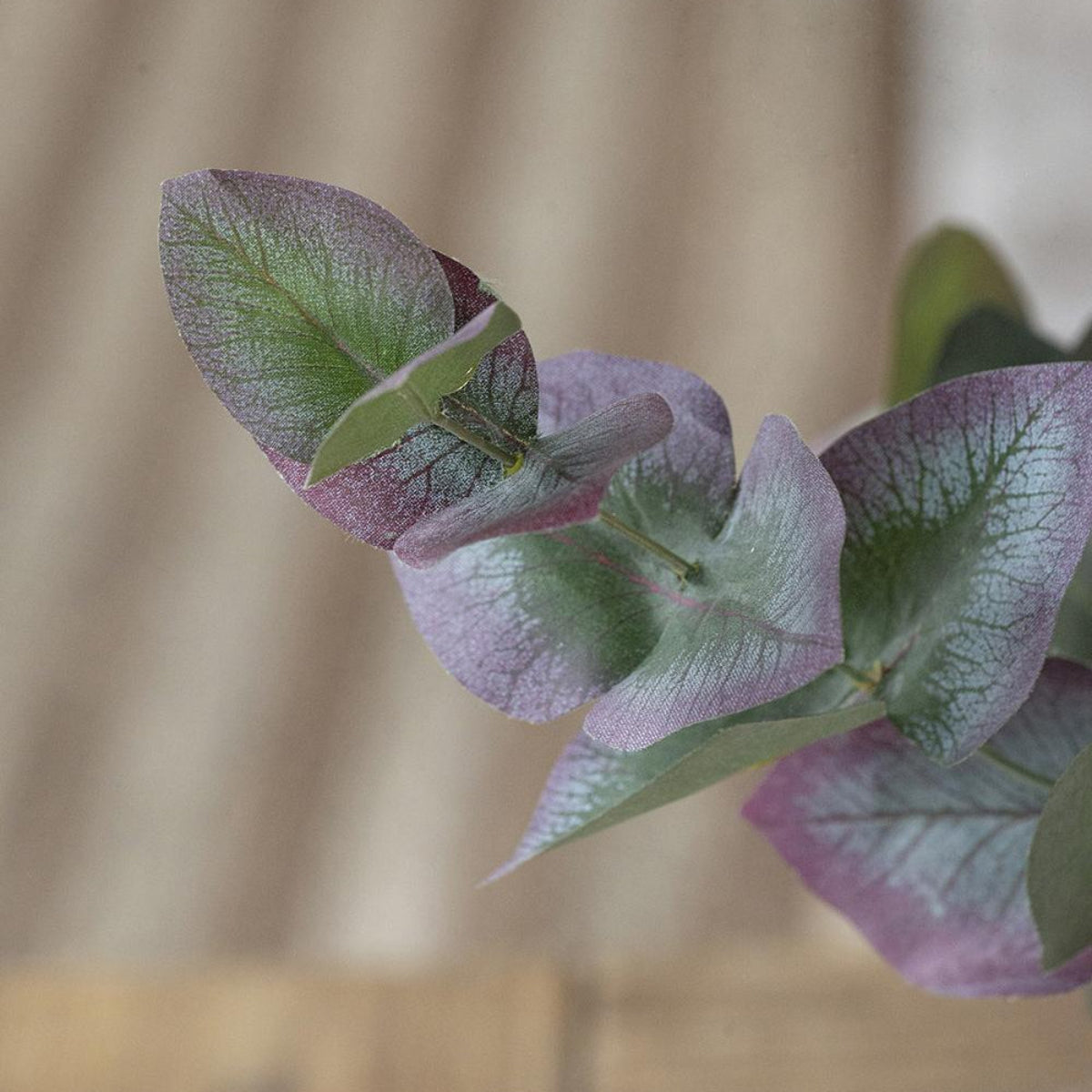 Eucalyptus Stem - Green