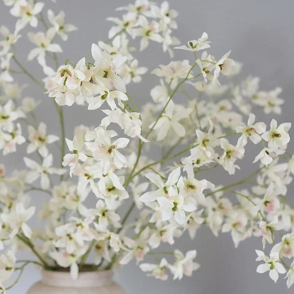 Dancing Oncidium Orchid